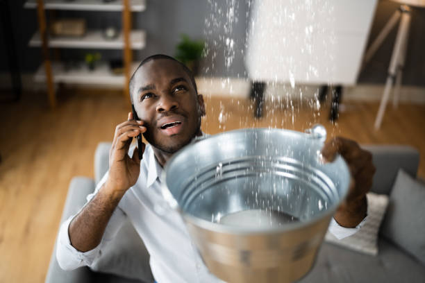 Best Water damage restoration company  in Oakland, OR