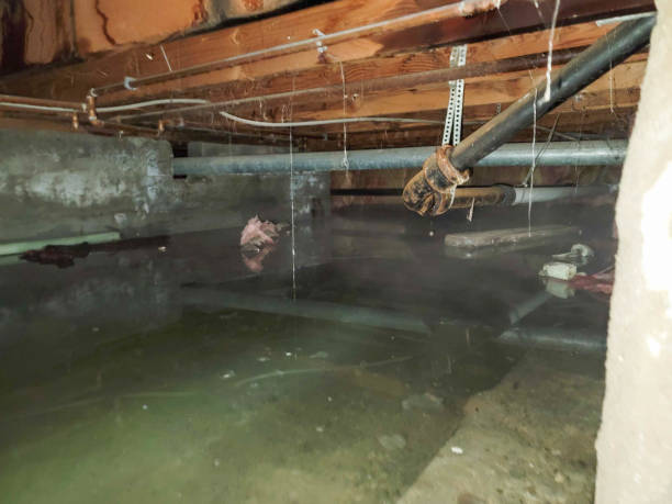 Best Commercial water damage restoration  in Oakland, OR